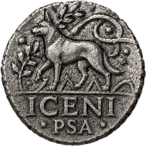 Iceni PSA coin logo